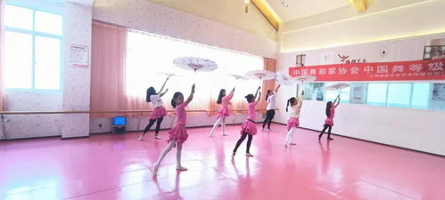 云南臻雅文化艺术学校积极备战 金孔雀 杯第七届少儿舞蹈电视大赛
